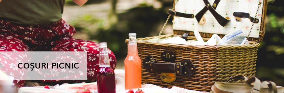 Coșuri picnic Coșuri picnic