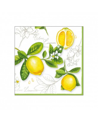 Servetele de masa, 20 buc, 33x33 cm, Citrus Limonum - AMBIENTE