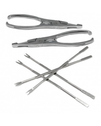 Set ustensile pentru fructe de mare - NERTHUS